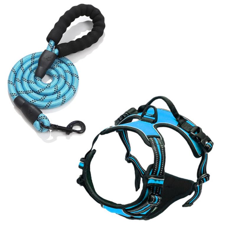 Reflective No-Pull Dog Harness & Leash Set - Large