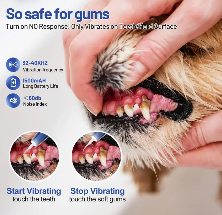 Ultrasonic Pet Toothbrush - 3 Cleaning Modes with LED Light