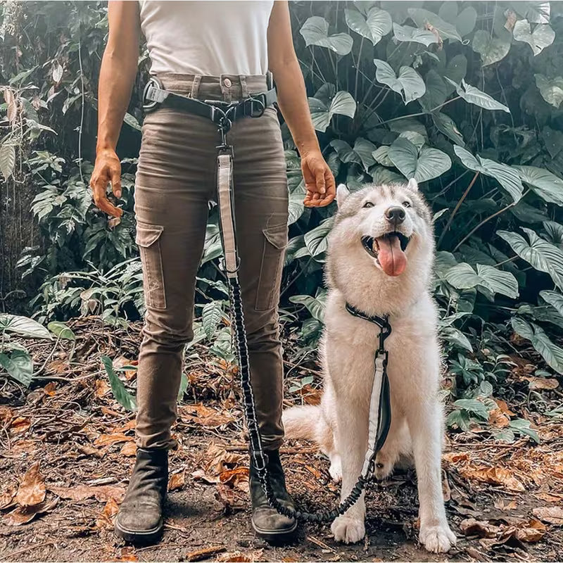 Hands-Free Dog Leash for Running & Walking - Adjustable Waist Belt