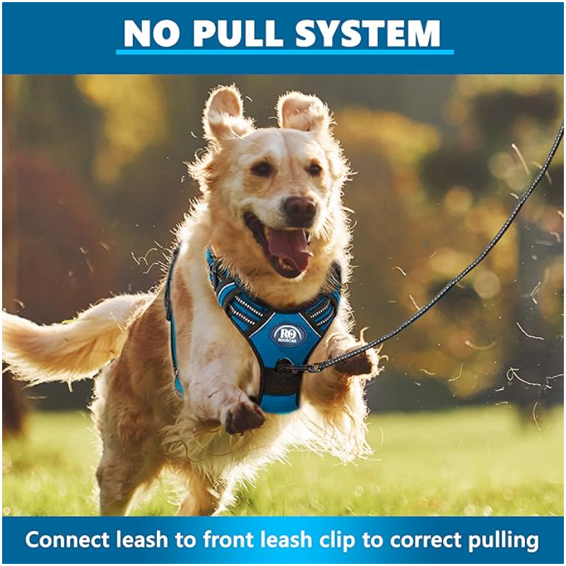 Reflective No-Pull Dog Harness & Leash Set - Large