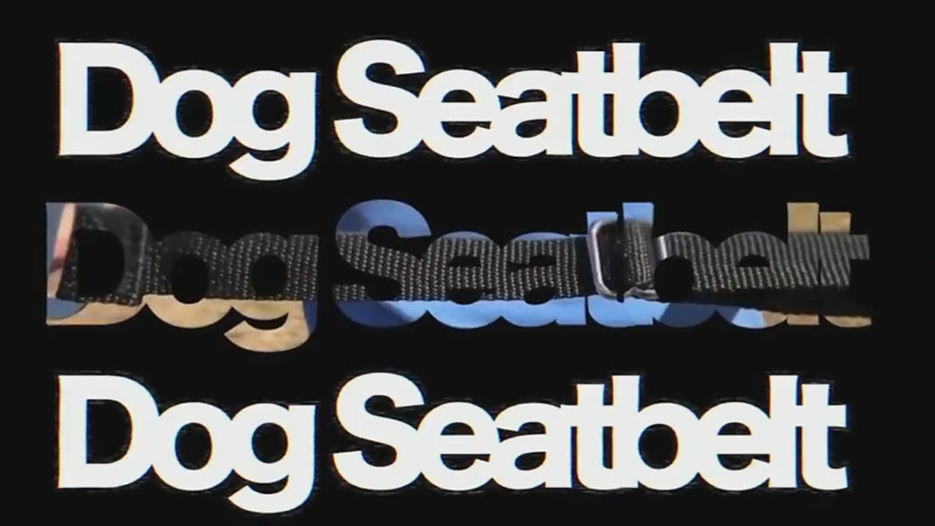 Adjustable Pet Car Seat Belt - Universal Safety Harness
